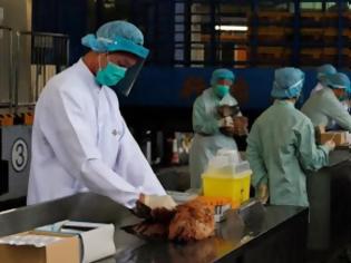 Φωτογραφία για Δεύτερο επιβεβαιωμένο θύμα της γρίπης των πτηνών H7N9 στο Χονγκ Κονγκ
