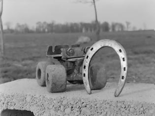 Φωτογραφία για Tο άλογο που κάνει roller-skate [Photo]