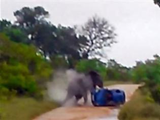 Φωτογραφία για Ελέφαντας αναποδογύρισε αμάξι - Βίντεο με το περιπετειώδες σαφάρι