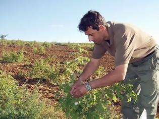 Φωτογραφία για Να φορολογούνται με βάση τα στρέμματα ζητούν οι αγρότες