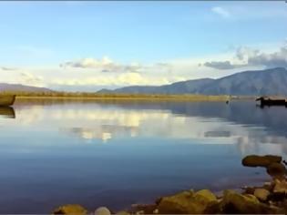 Φωτογραφία για Κυνηγούν πάπιες στη λίμνη Κερκίνη