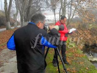 Φωτογραφία για Καστοριά: Με προβλήματα οι καταμετρήσεις των πουλιών της λίμνης [video]