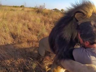 Φωτογραφία για Ο άνθρωπος που μεταμορφώνει τα λιοντάρια σε γάτες [photos&video]