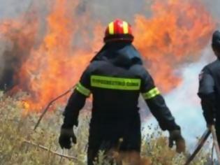 Φωτογραφία για Πάτρα Τώρα: Φωτιά στα Κάτω Συχαινά