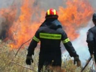 Φωτογραφία για Πάτρα: Έσβησε η φωτιά στα Κάτω Συχαινά - Παραμένει στο σημείο η Πυροσβεστική υπό τον φόβο αναζωπύρωσης