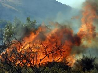 Φωτογραφία για Πάτρα: Φωτιά στα Συχαινά – Κάηκαν 2 στρέμματα αγροτοδασικής έκτασης