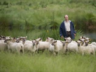Φωτογραφία για Αυτόνομη κάθοδος κτηνοτρόφων στις ευρωεκλογές