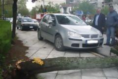 Κόπηκε δέντρο στα Τρίκαλα και έπεσε σε αυτοκίνητο