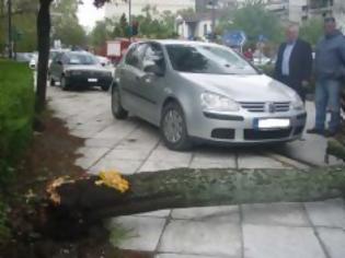 Φωτογραφία για Κόπηκε δέντρο στα Τρίκαλα και έπεσε σε αυτοκίνητο