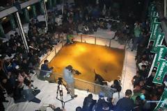 Heineken: Το ποτήρι δεν ξεχειλίζει μπύρα αλλά οργή...