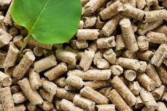 Pellet: Η απάντηση στο ακριβό πετρέλαιο!