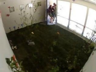Φωτογραφία για Απίστευτη φάρσα: Αντί για διαμέρισμα βρήκαν έναν πασχαλινό κήπο! [video]