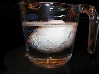 Φωτογραφία για Ενδιαφέρον πείραμα: Αβγό μέσα σε ξύδι