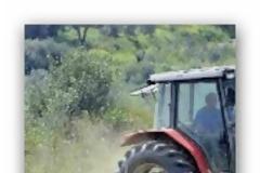 «Η συμφωνία ήταν ότι το 4% θα κρατούσαν οι αγρότες και το υπόλοιπο 7% θα το έδιναν στους διακινητές των τιμολογίων»