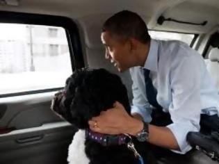 Φωτογραφία για Oι αμερικάνικες εκλογές και οι σκύλοι...