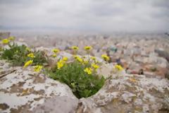 6 του Μάη: η Ευρώπη χρειάζεται την Άνοιξή της…