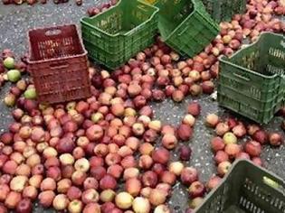 Φωτογραφία για Στα δικαστήρια θα λύσουν τις διαφορές τους εργαζόμενοι και μηλοπαραγωγοί...