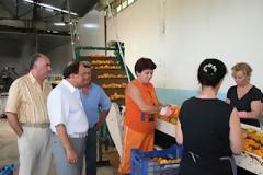 Χίλιες επιχειρήσεις θα βάζουν λουκέτο κάθε εβδομάδα