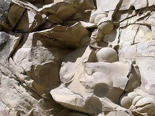 Φωτογραφία για Τα μεγαλύτερα αβγά που έχουν βρεθεί