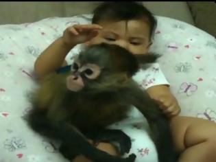 Φωτογραφία για VIDEO: Μωράκι παίζει με μαϊμουδάκι!