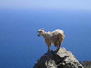 Φωτογραφία για Το χρέος, το κούρεμα και τα κατσίκια του Καλλίμαχου