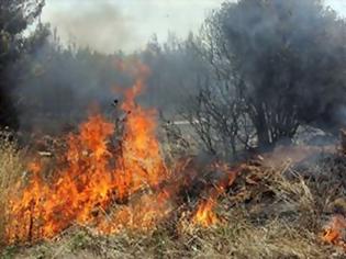 Φωτογραφία για Tα όμορφα δάση… Κυριακή καίγονται