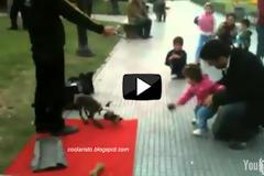 ΒΙΝΤΕΟ: Σκύλος μαριονέτα μαγεύει μικρό κορίτσι αλλά κι εμάς