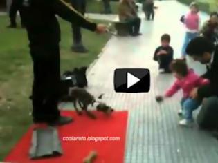 Φωτογραφία για ΒΙΝΤΕΟ: Σκύλος μαριονέτα μαγεύει μικρό κορίτσι αλλά κι εμάς