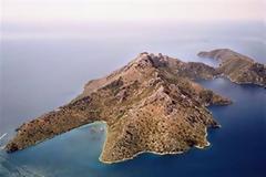 Πέντε εκατομμύρια ευρώ πουλήθηκε η Οξειά