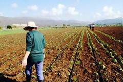 Δεν τους βοηθά ο καιρός για να σπείρουν