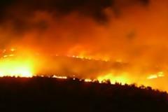 Νέες καταθέσεις στη δίκη για τις πυρκαγιές στην Ηλεία