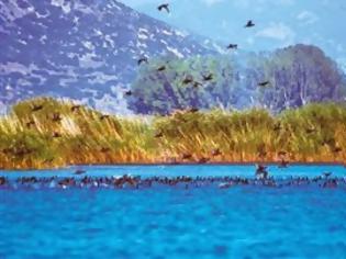 Φωτογραφία για Παρουσιάστηκε το πρόγραμμα Life Stymfalia στην Κόρινθο