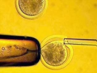 Φωτογραφία για Δημιούργησαν εμβρυικά βλαστοκύτταρα χωρίς έμβρυα