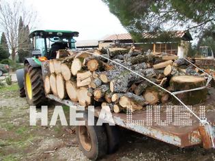 Φωτογραφία για Ηλεία: Εντόπισε λαθροϋλοτόμους στην Κάπελη το Δασαρχείο