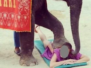 Φωτογραφία για Ποια Ελληνίδα παρουσιάστρια πατάει ελέφαντας;
