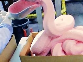 Φωτογραφία για Τα McDonald's προσπαθούν να διαλύσουν το μύθο της... ροζ αηδίας - Καρέ-καρέ πώς φτιάχνονται τα Chicken McNuggets
