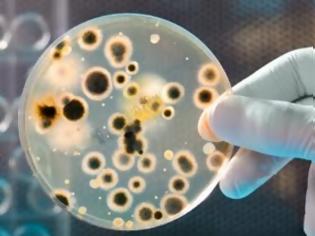 Φωτογραφία για Τα πέντε αντικείμενα δημόσιας χρήσης που «κουβαλούν» τα περισσότερα μικρόβια