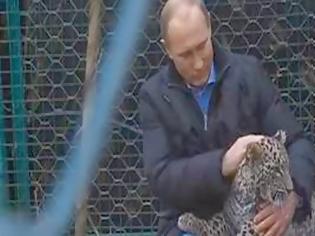 Φωτογραφία για Σότσι: Ο Πούτιν και οι λεοπαρδάλεις [Εικόνες Βίντεο]