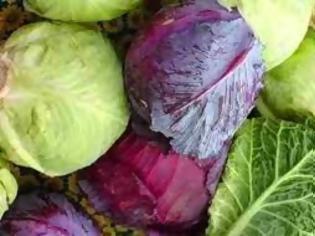 Φωτογραφία για 9 εκπληκτικά, διατροφικά οφέλη του λάχανου