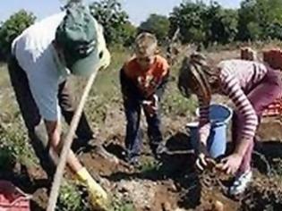 Φωτογραφία για Στις καλένδες η «επιστροφή στο χωριό»