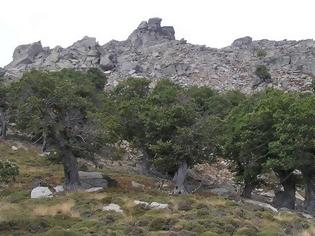 Φωτογραφία για Έκκληση για τη σωτηρία της Όχης