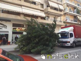 Φωτογραφία για ΠΡΙΝ ΛΙΓΟ: Φορτηγό παρέσυρε δένδρο στη Ναύπακτο