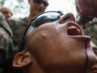 Φωτογραφία για Σοκ: Αμερικανοί πεζοναύτες πίνουν αίμα φιδιού και τρώνε ερπετά σε άσκηση επιβίωσης [εικόνες]