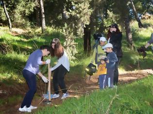 Φωτογραφία για Πάτρα: Δενδροφύτευση στον λόφο του Γηροκομείου