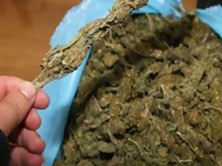 Φωτογραφία για Κατασχέθηκαν 210 κιλά μαριχουάνα στην Αλβανία
