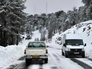 Φωτογραφία για Ζημιές ύψους 194 εκατ.προκάλεσε στα δάση της Σλοβενίας η παγοθύελλα