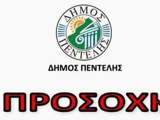 Φωτογραφία για Απειλούνται τα ζώα από δηλητήριο σε μπλε σκόνη