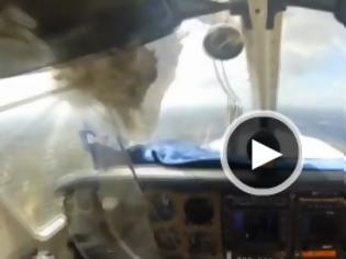 Φωτογραφία για Εντυπωσιακό βίντεο: Όταν ένα πουλί «σκάει» πάνω σε αεροπλάνο [video]
