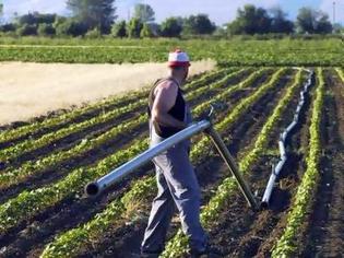 Φωτογραφία για ΥΠΑΝ: Πώς να ξεχωρίζουν οι επαγγελματίες του αγροτικού τομέα τα παράνομα γεωργικά φάρμακα