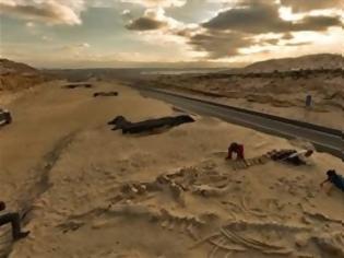 Φωτογραφία για Χιλή: Νεκροταφείο φαλαινών δίπλα σε αυτοκινητόδρομο [Photos]